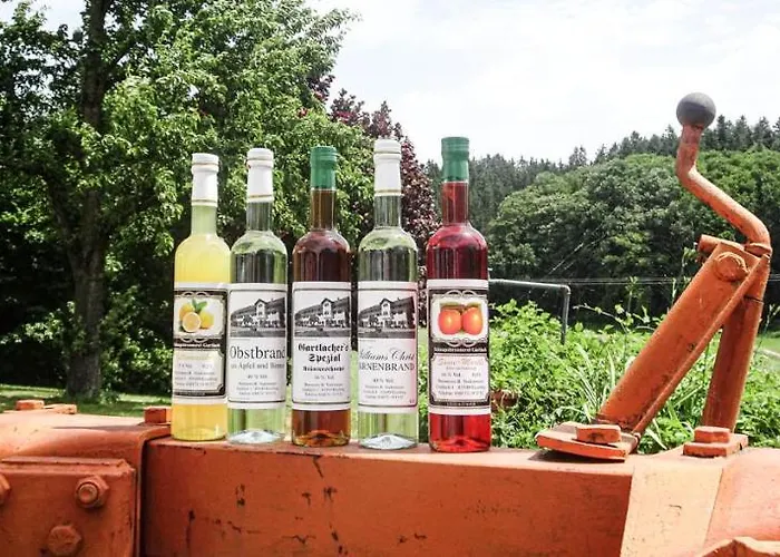 Πανσιόν Gartlacher Hof 3*